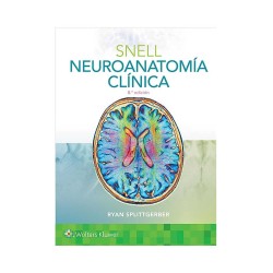 Neuroanatomía Clínica