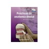 Prácticas de Anatomía Dental  Riojas