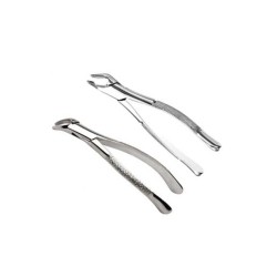 Forcep Adulto